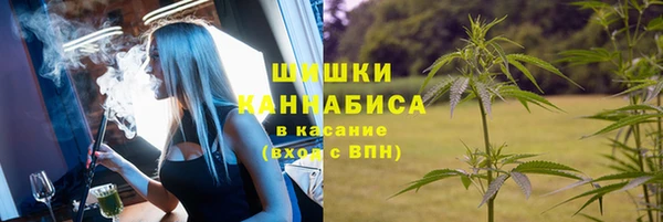 2c-b Осташков