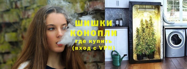 ПСИЛОЦИБИНОВЫЕ ГРИБЫ Абдулино